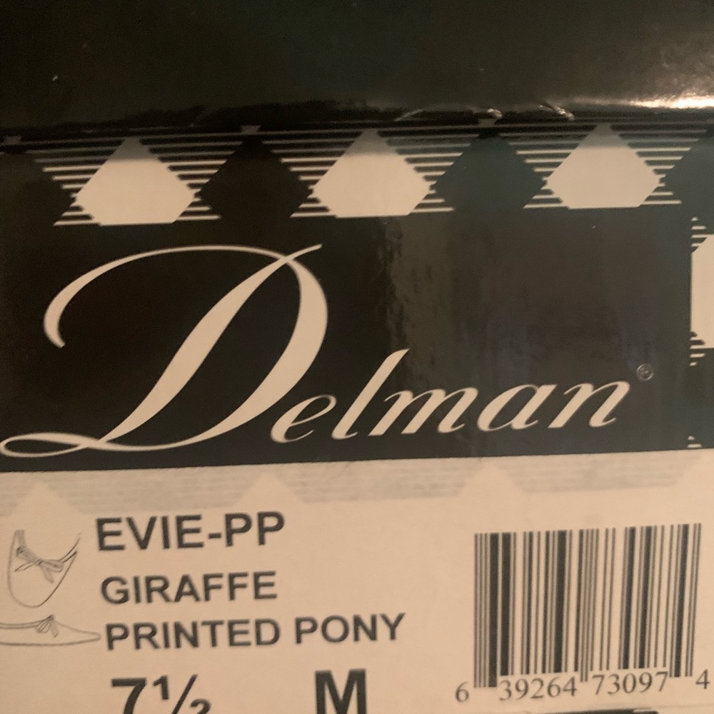 Delman ballet flat - Picture 3 of 3